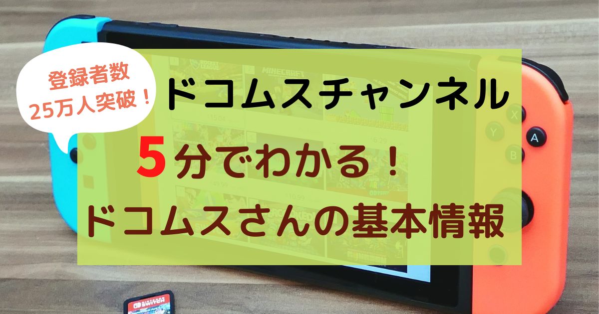 ドコムスチャンネル ドコムスさんが５分でわかる 基本情報まとめ しゅふの休日